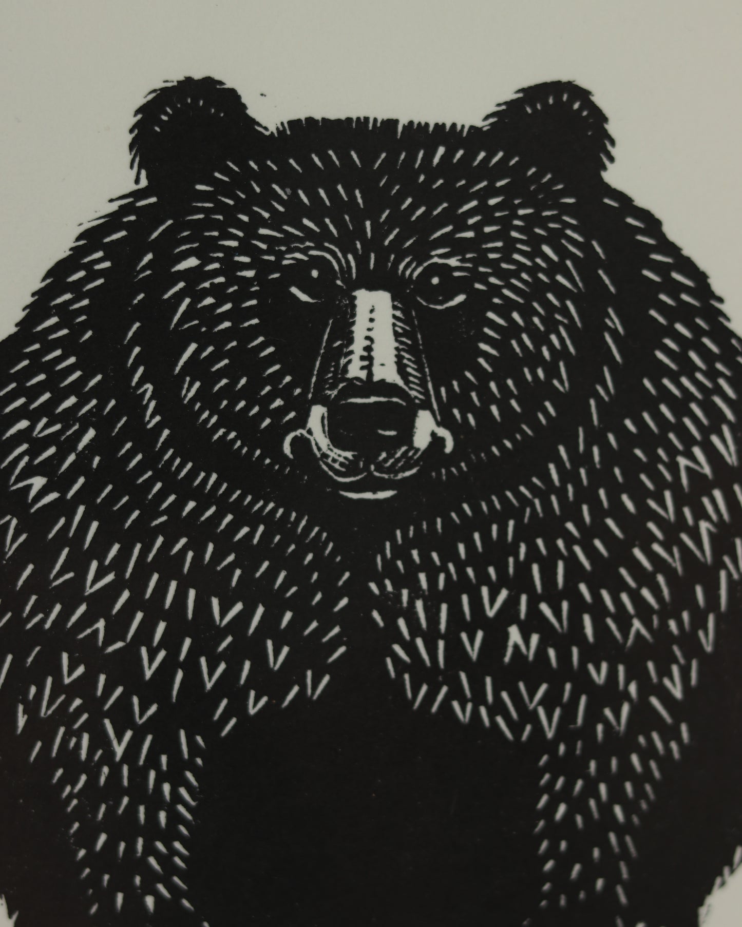 Bear 3