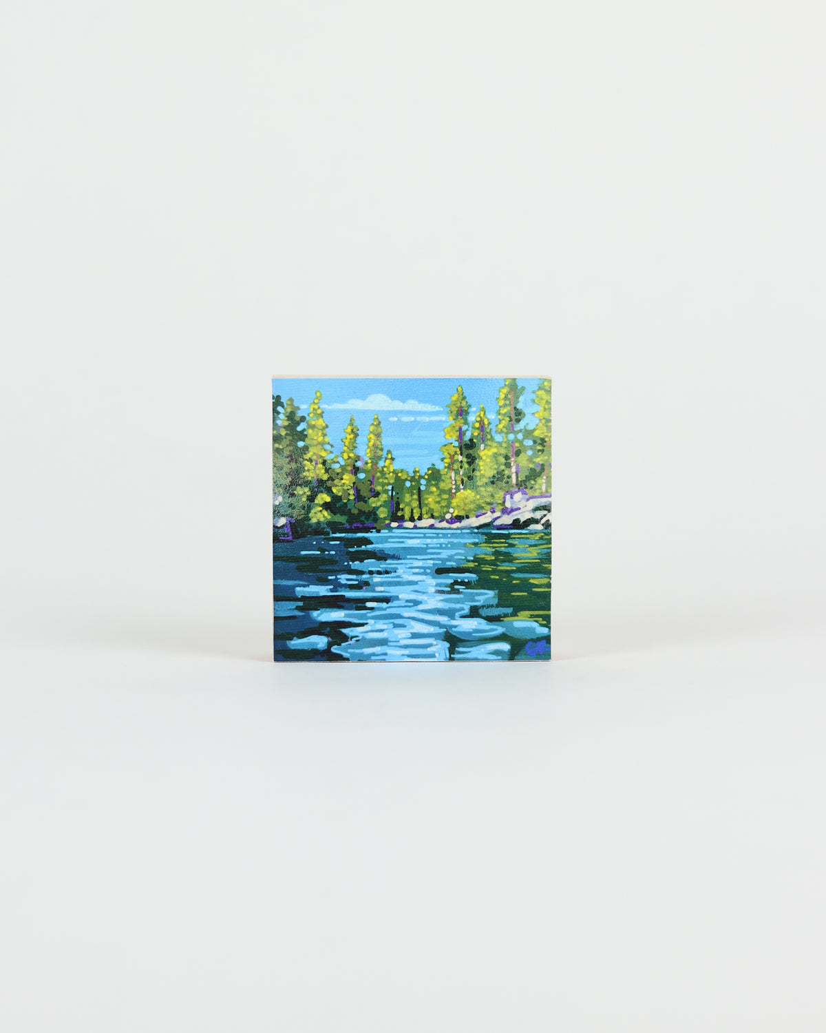 Canvas Print 12