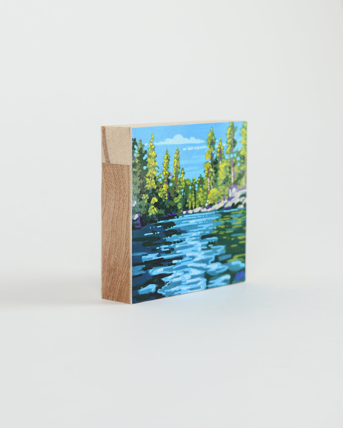 Canvas Print 12