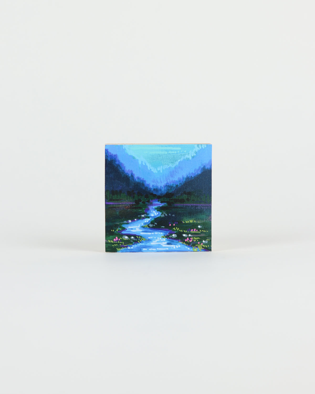 Canvas Print 13