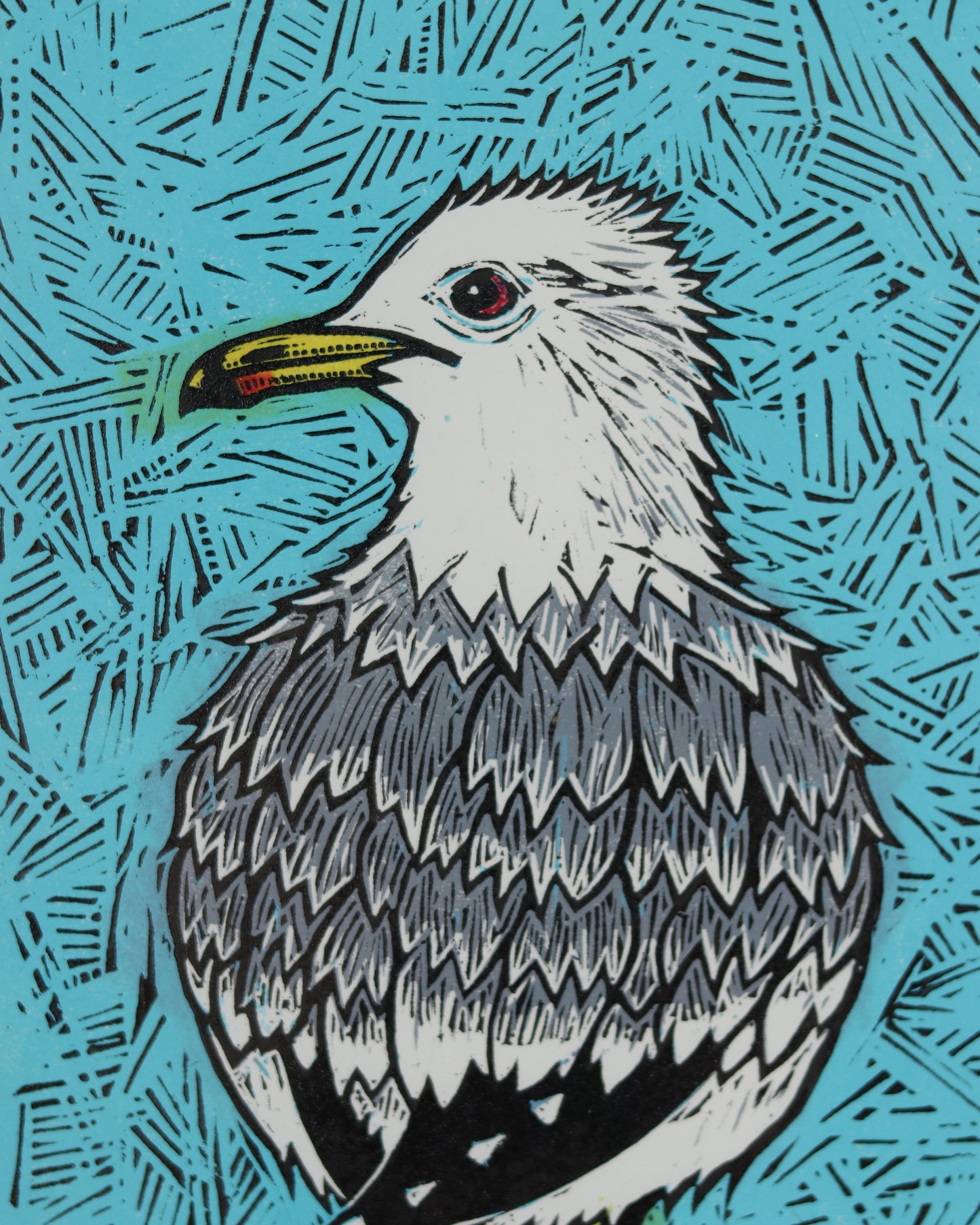 Gull
