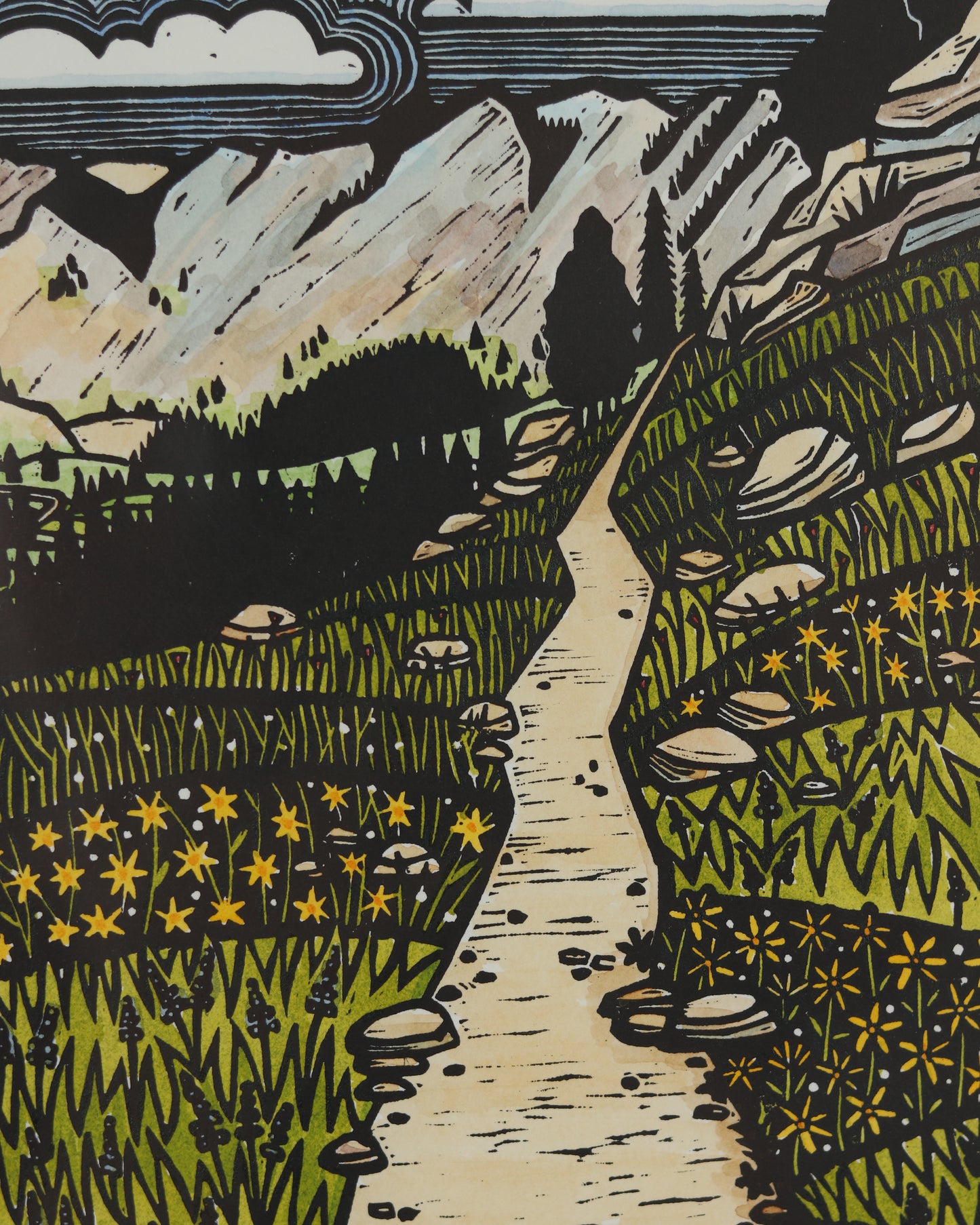Mountain Trail