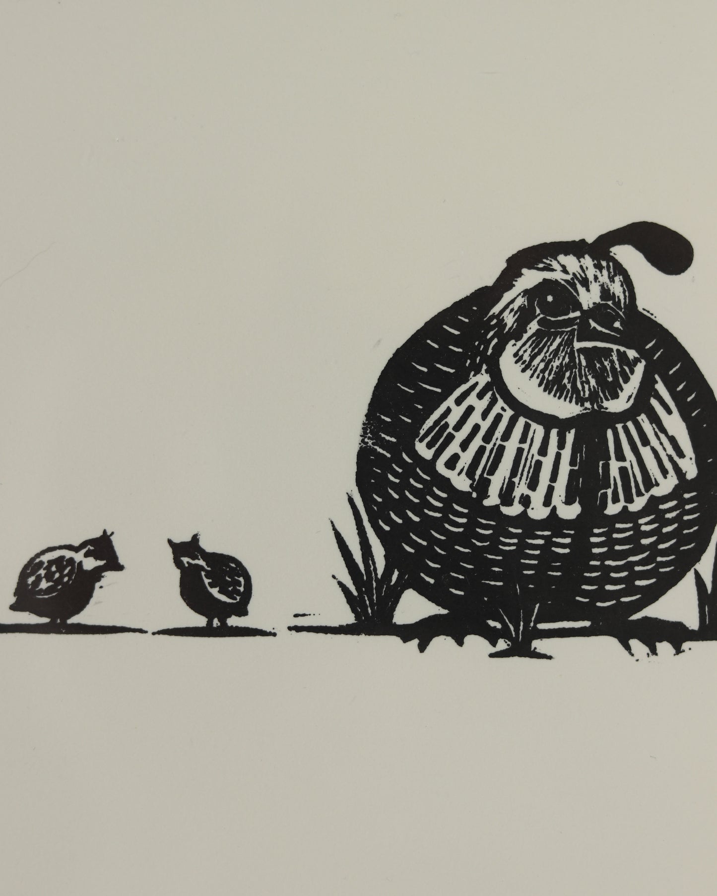 Quail Family 2