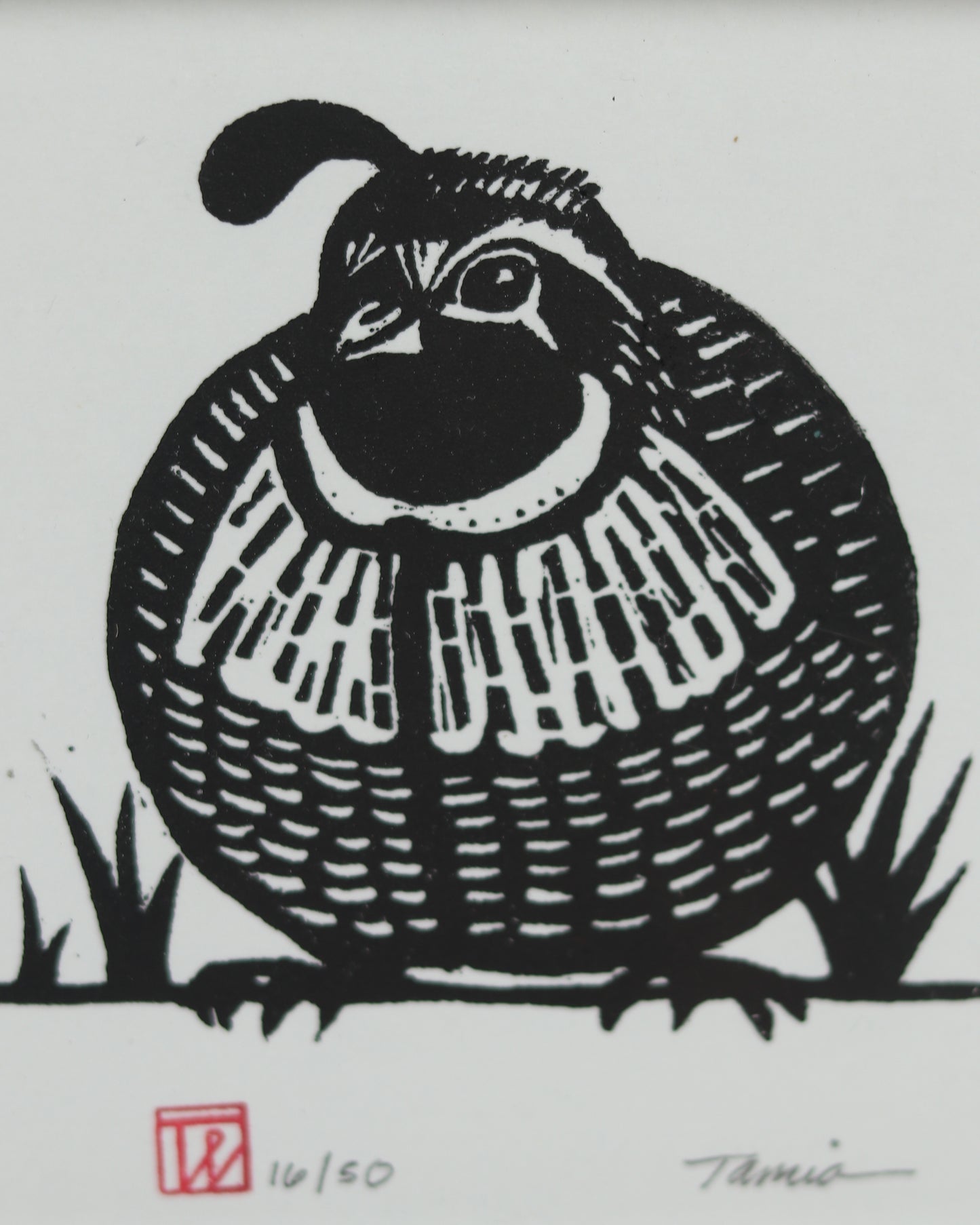Female Quail