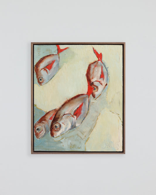 Fish All Day