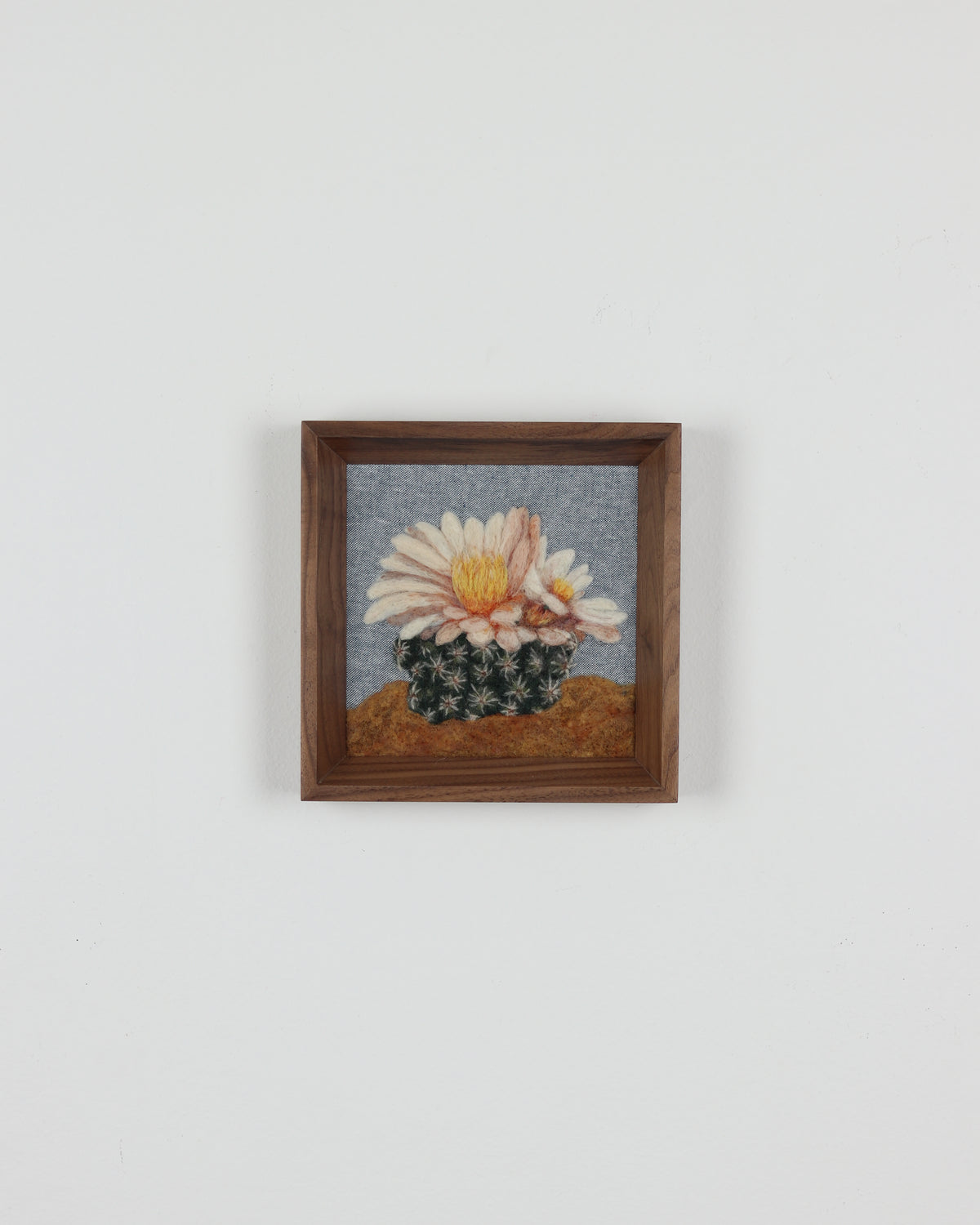 Blooming Cactus