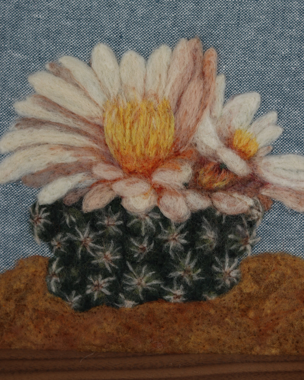 Blooming Cactus