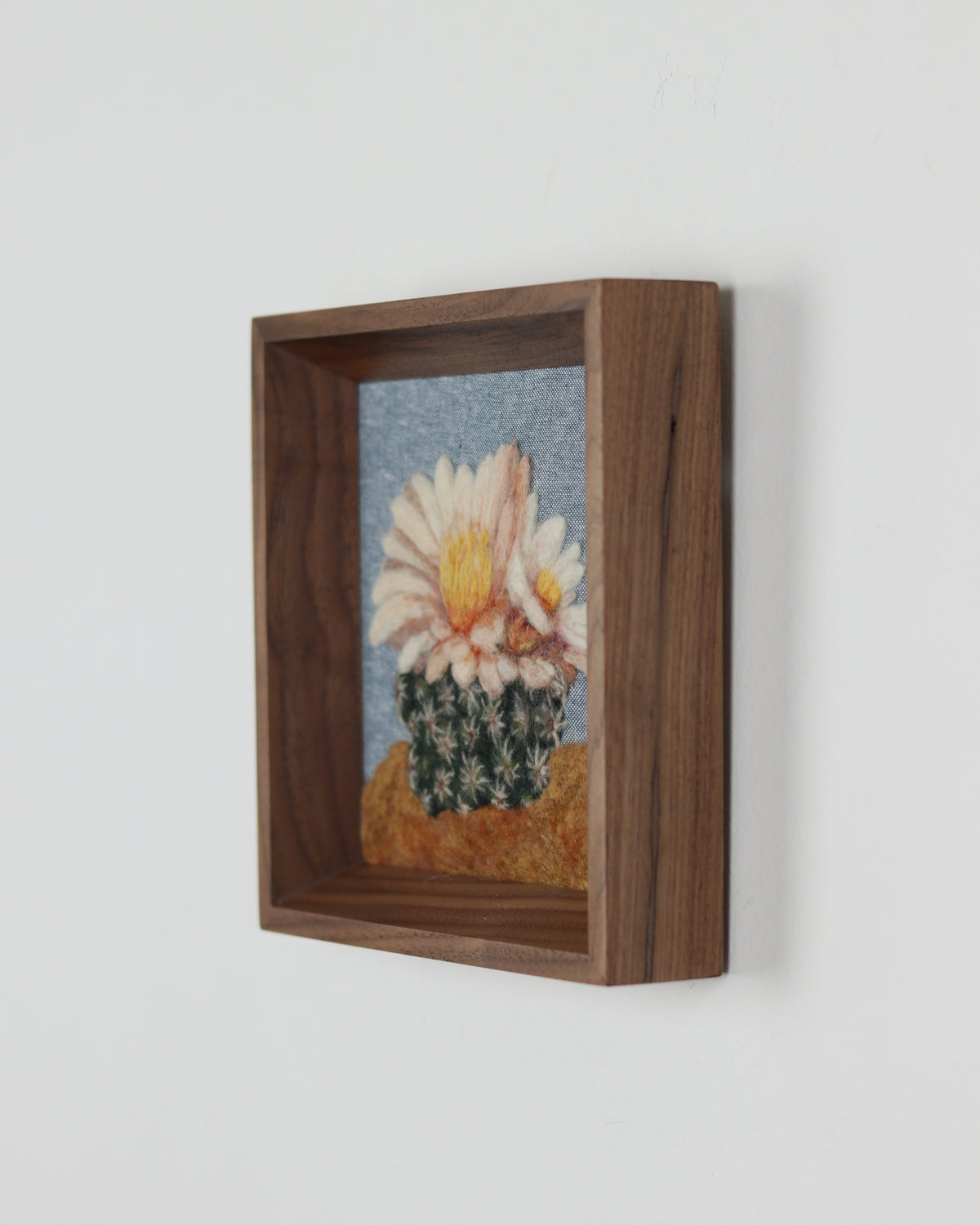 Blooming Cactus