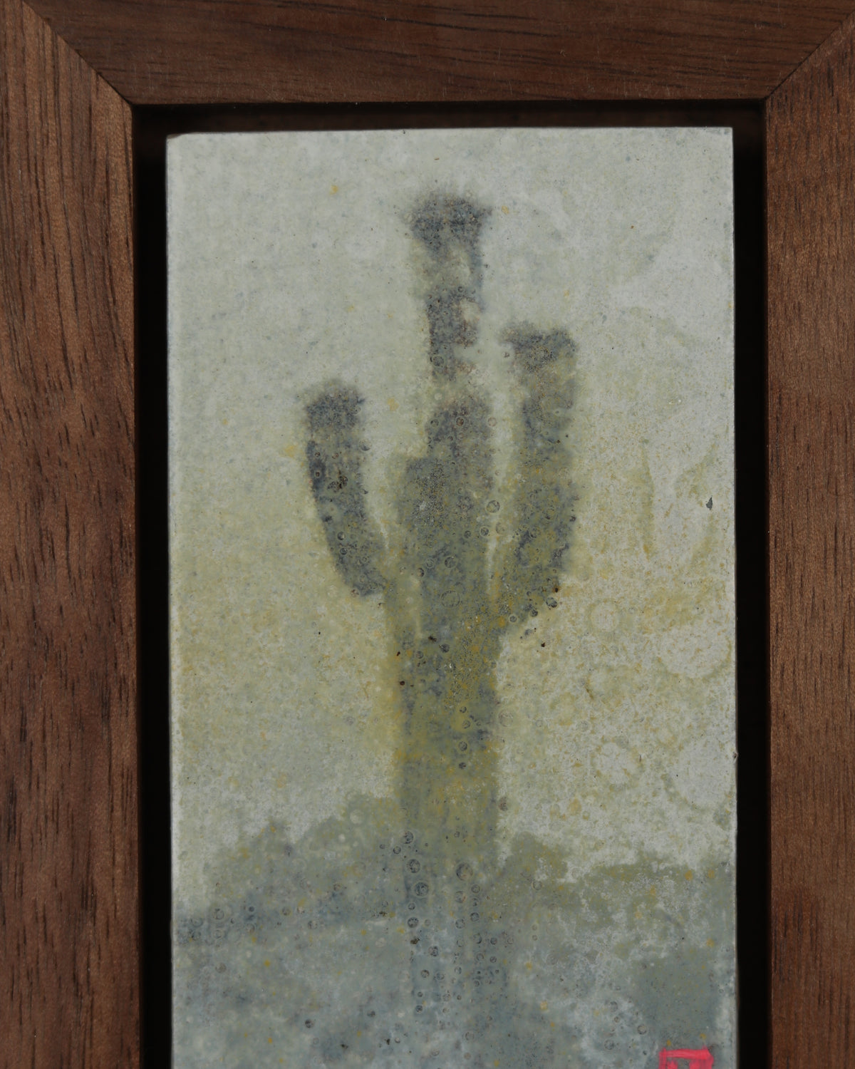 Saguaro Cactus Study 9