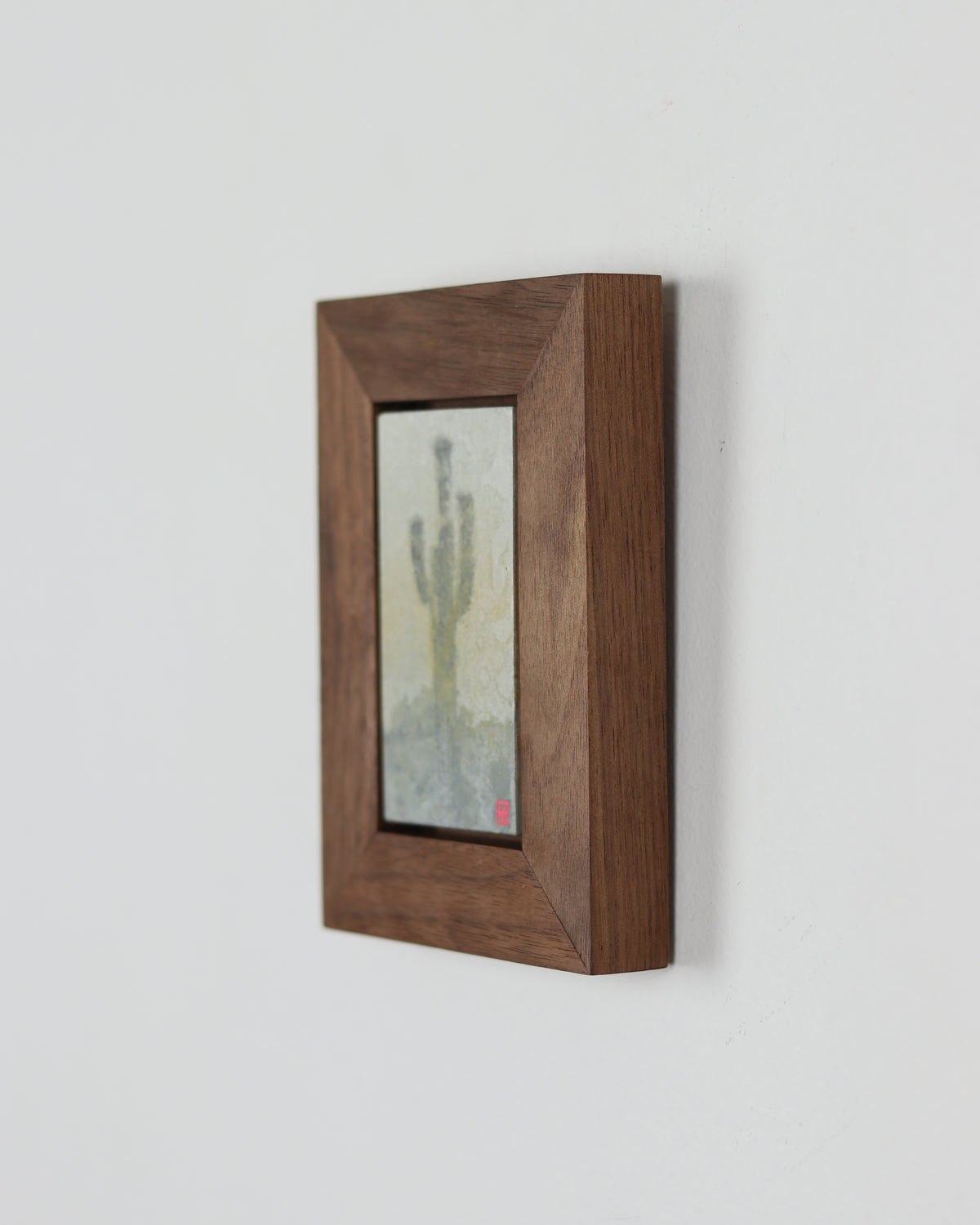 Saguaro Cactus Study 9