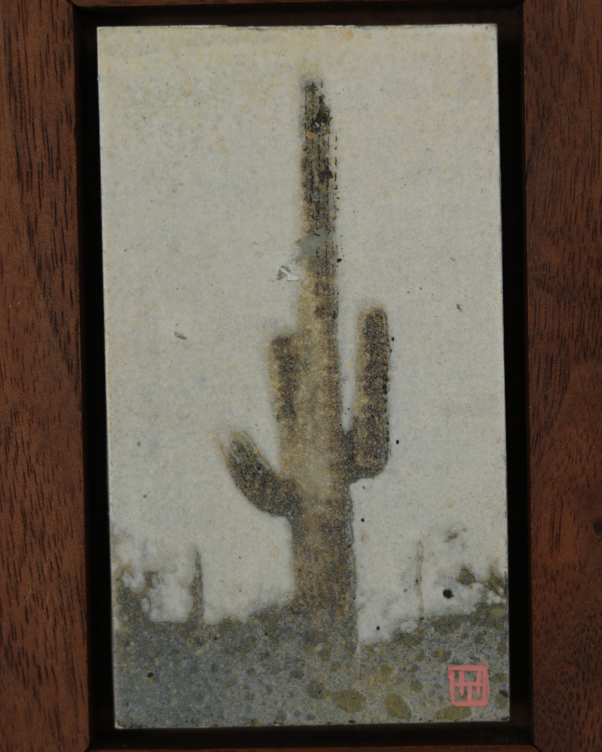 Saguaro Cactus Study 6