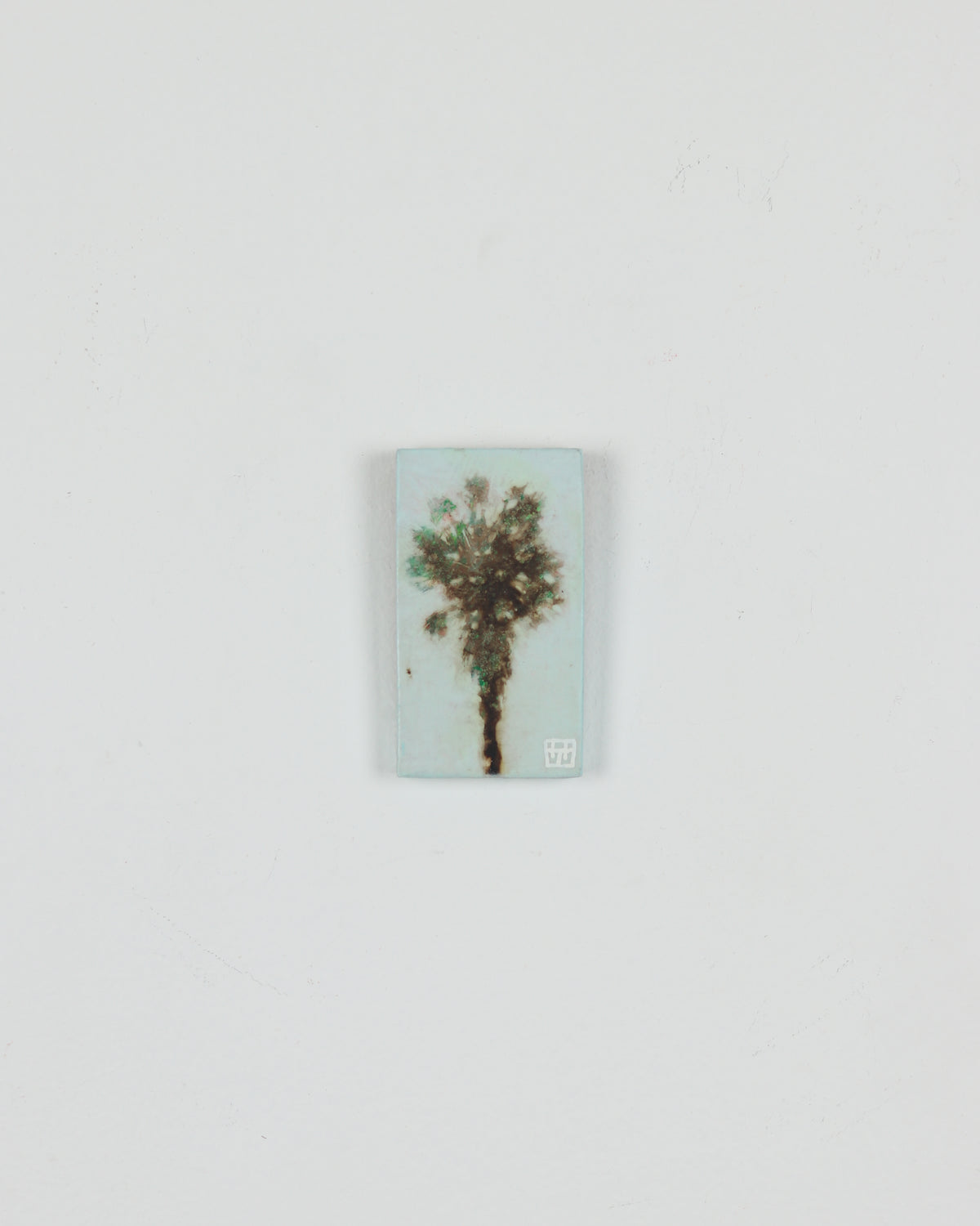 Palm 5