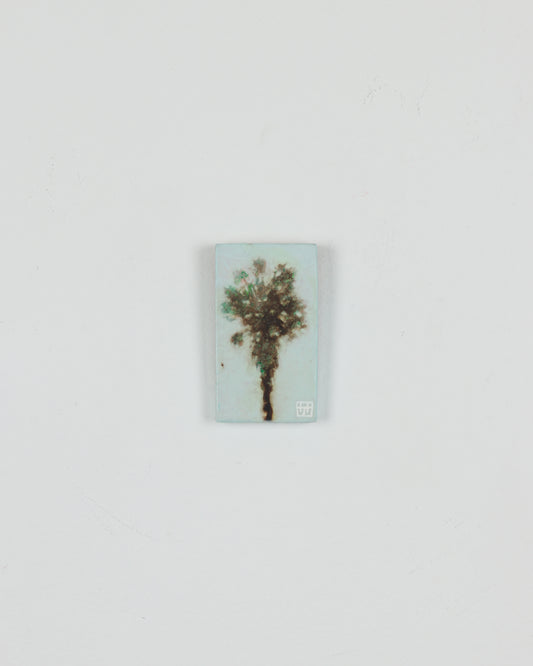 Palm 5