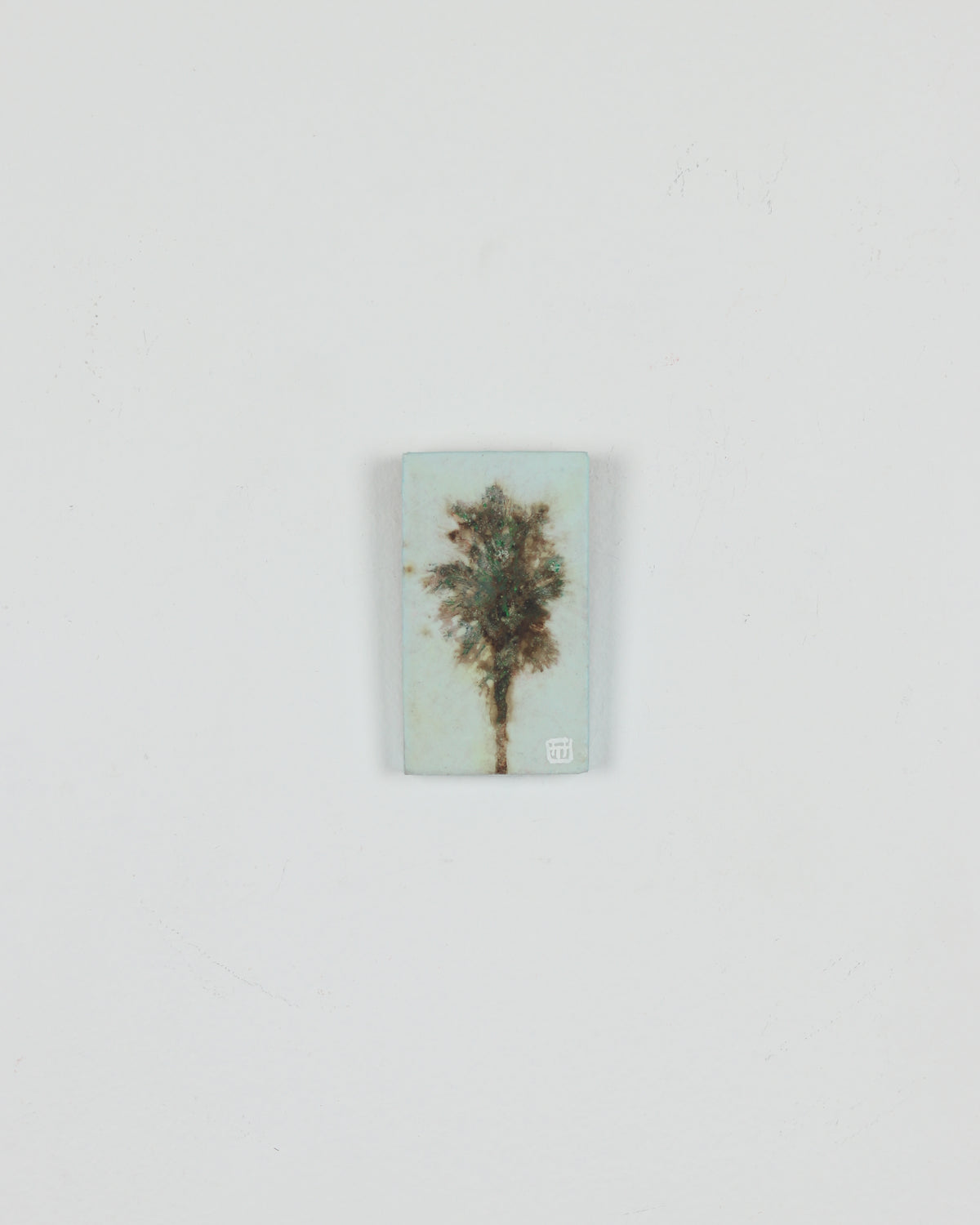 Palm 4