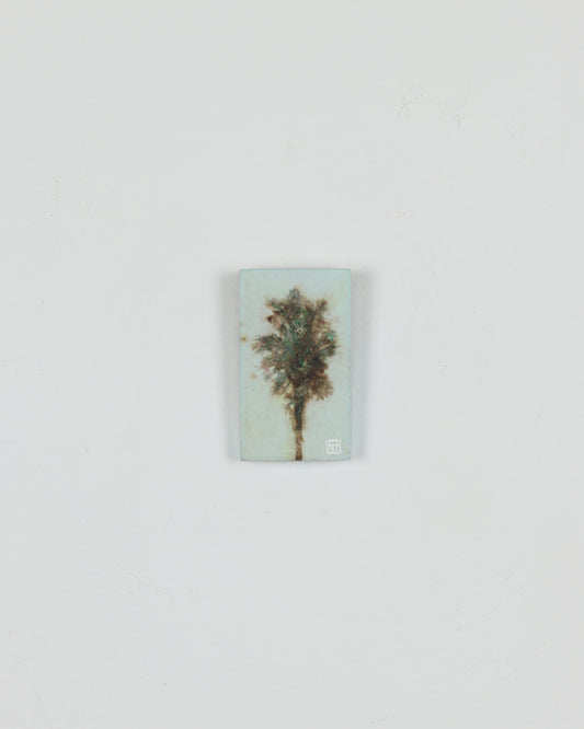 Palm 4