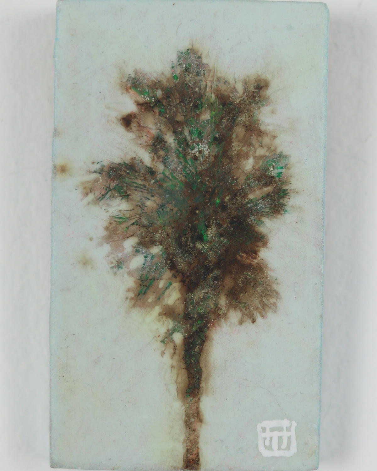 Palm 4