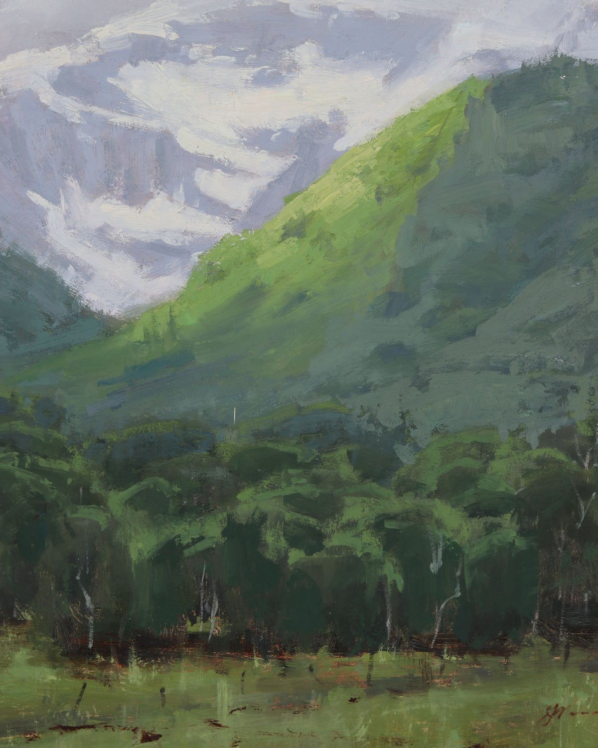 Let the Mountains Shout for Joy