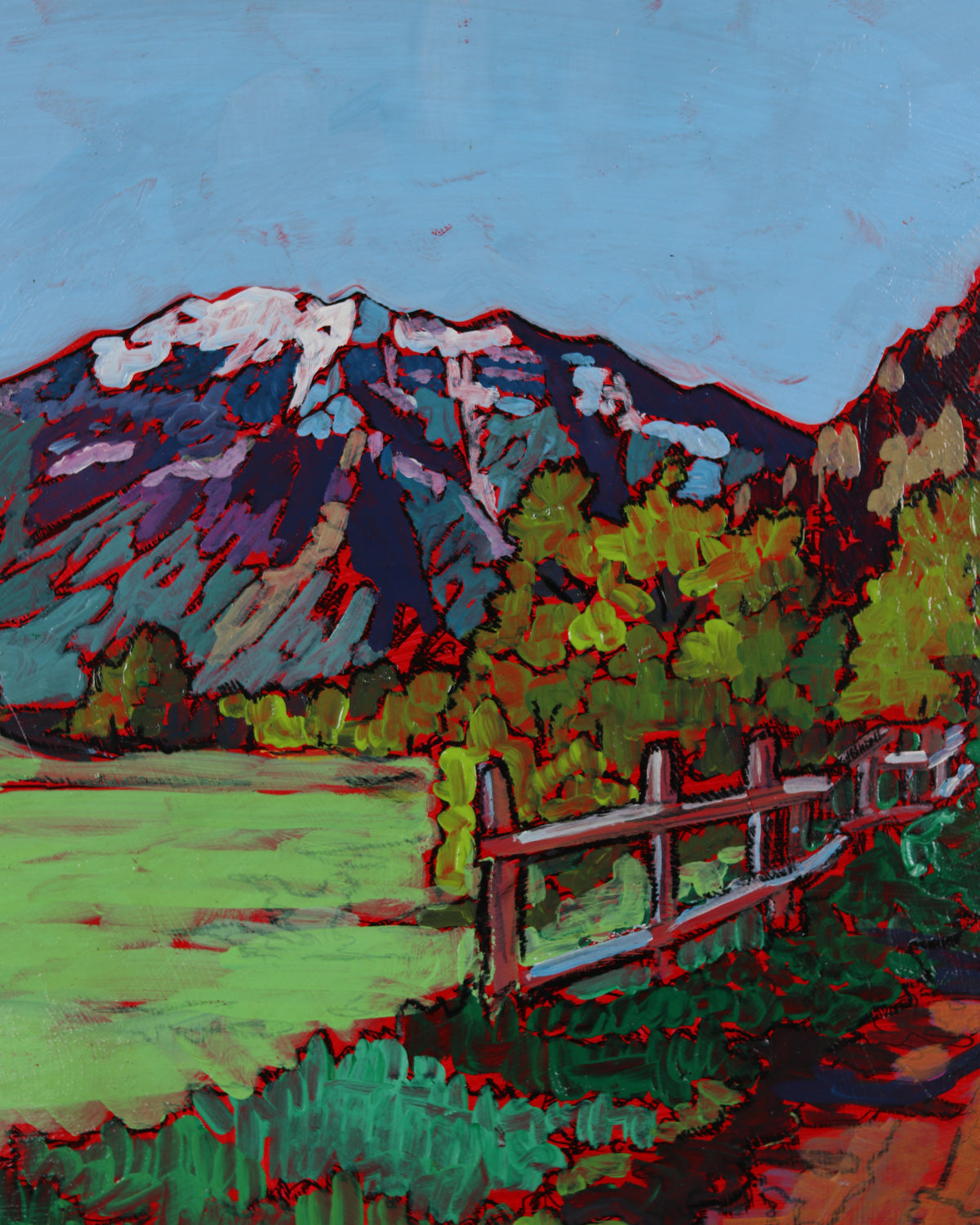 Mt. Timp Green Meadows