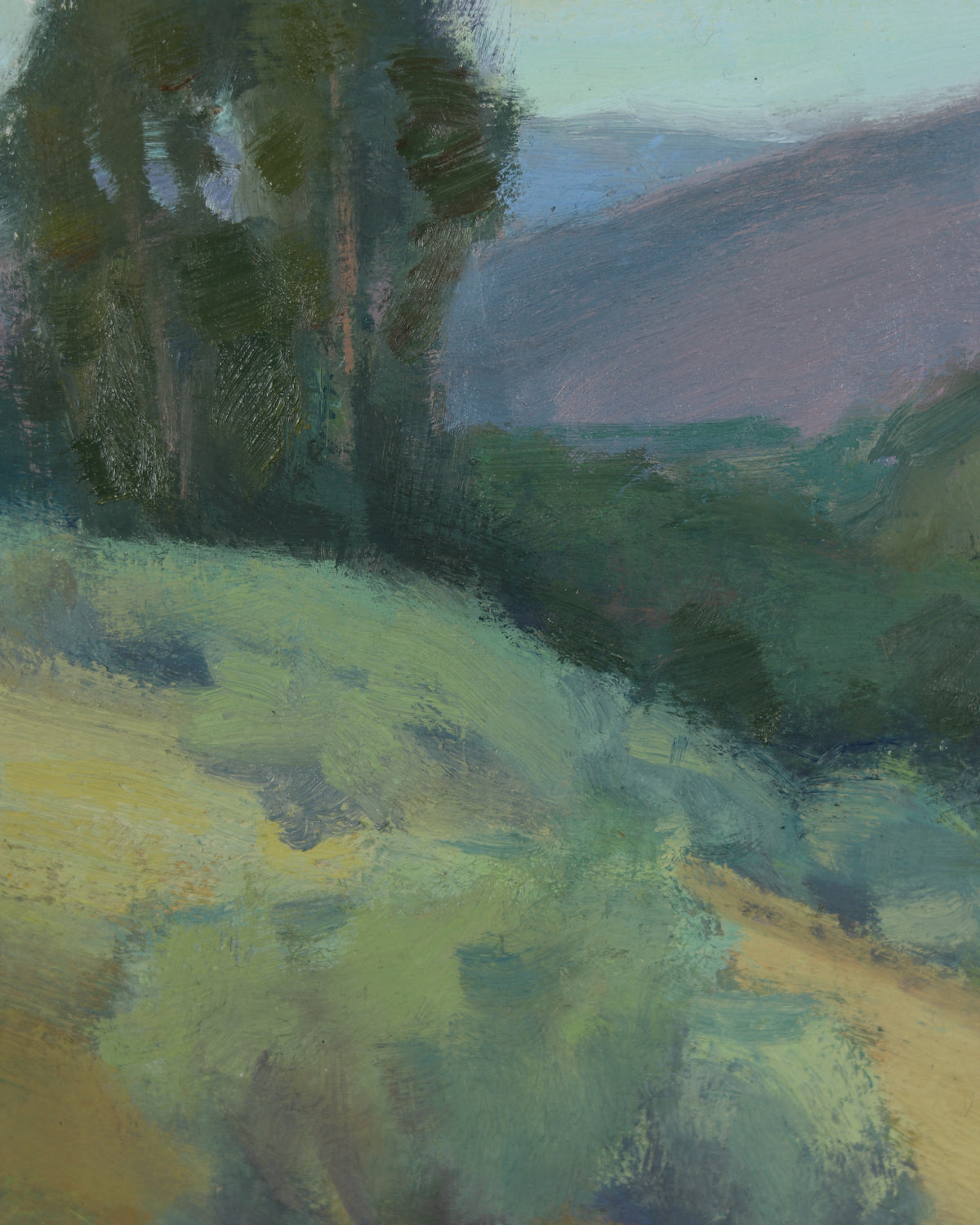 Wilderness Ravine