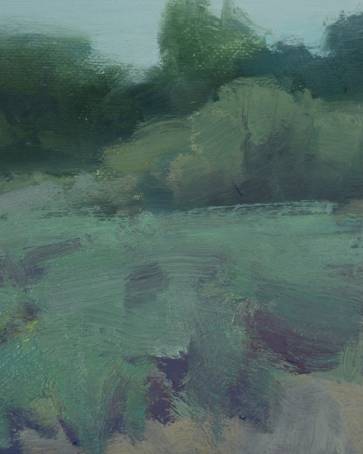 Untouched Wilderness