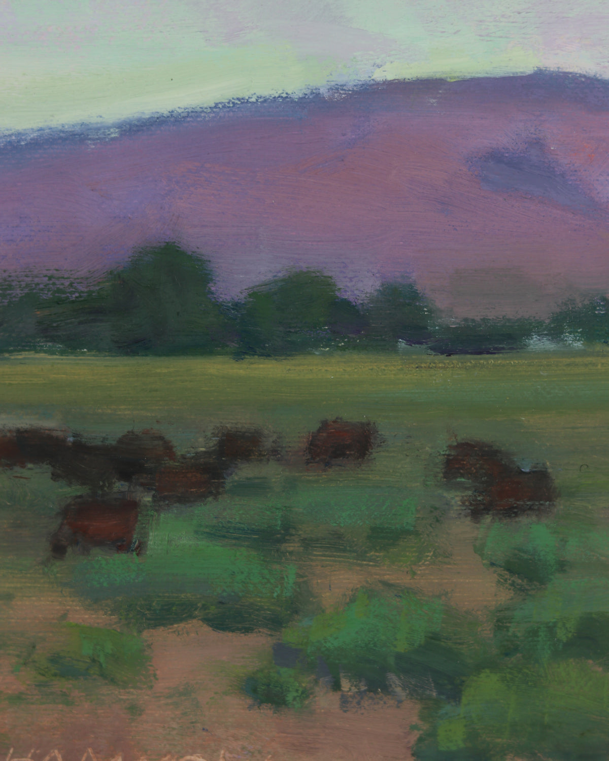 Cows At Dawn