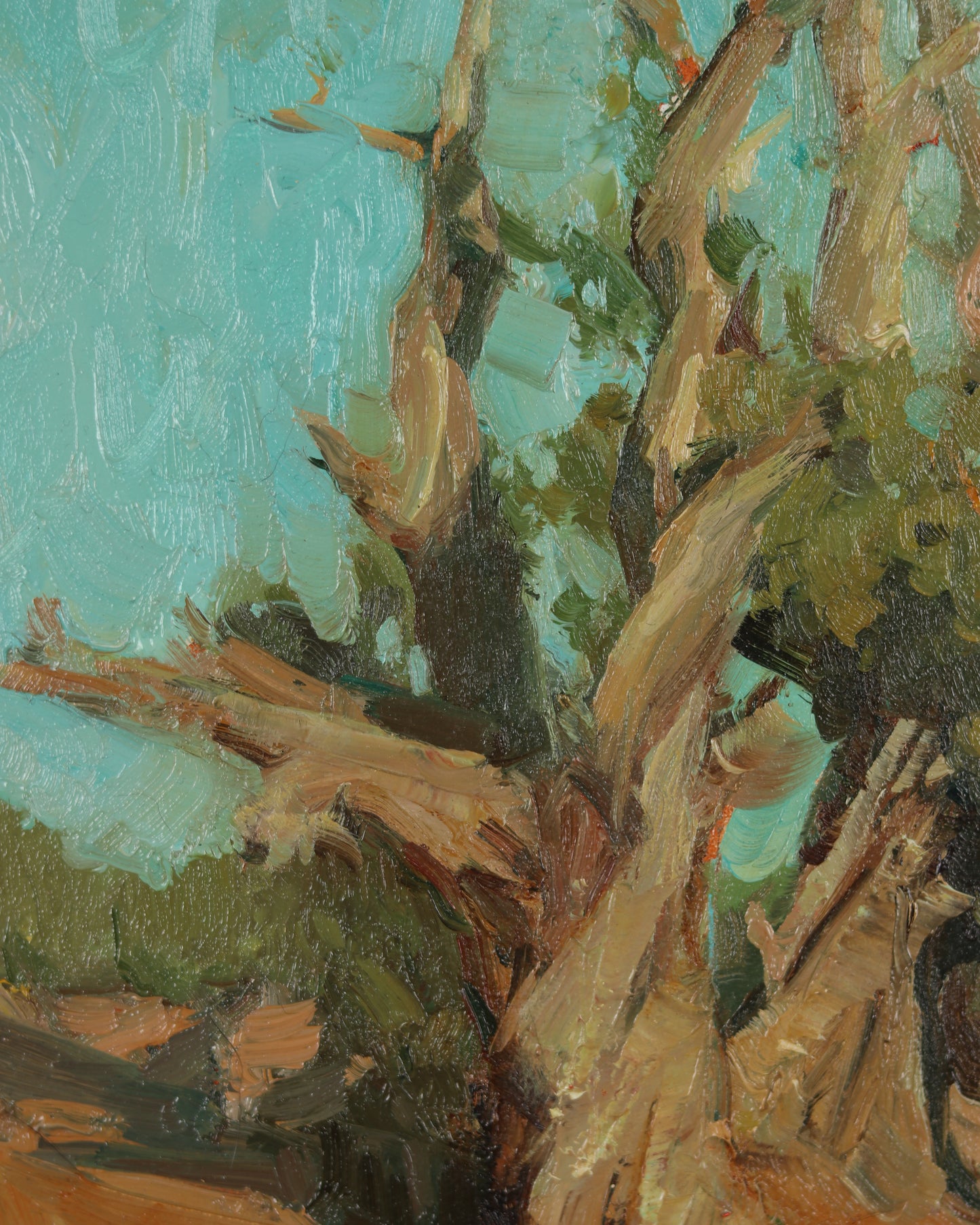 Juniper Delight