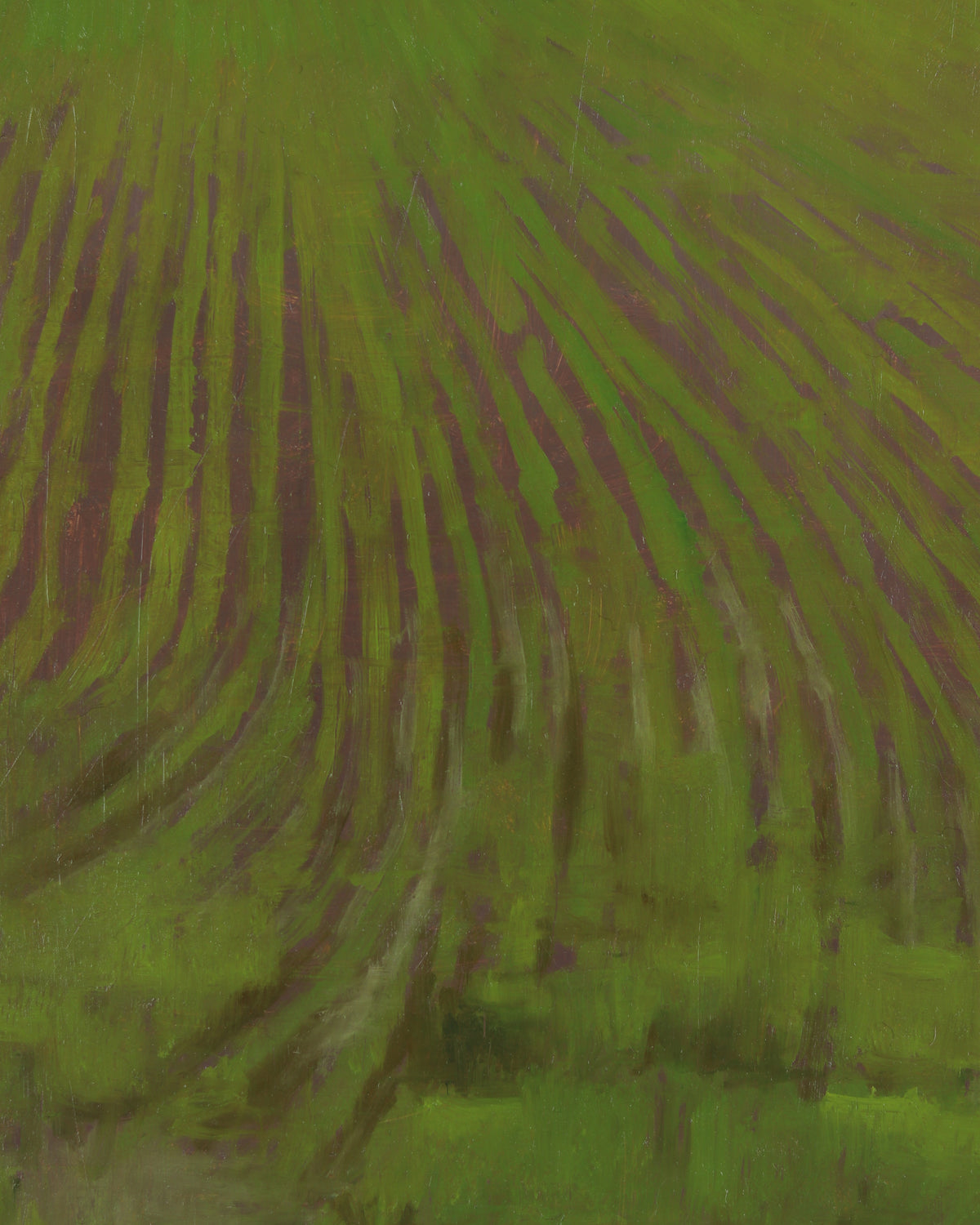 Alfalfa Fields Toward Payson