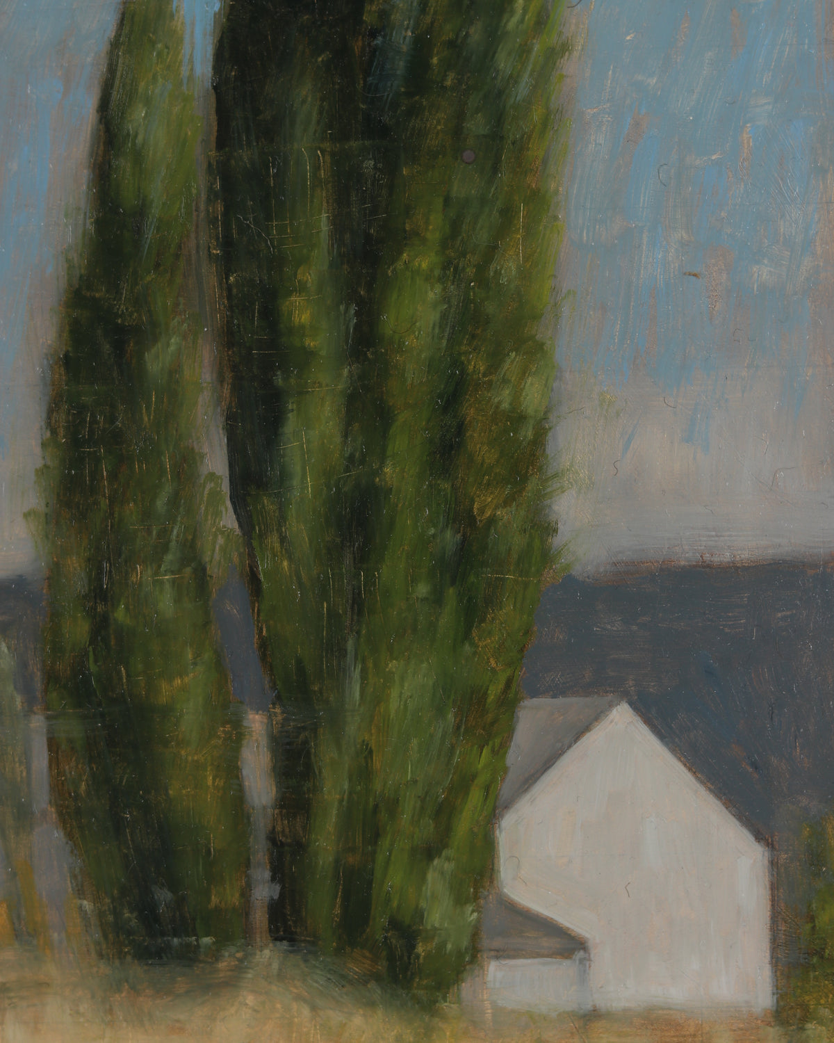 Poplars Near Lake Shore