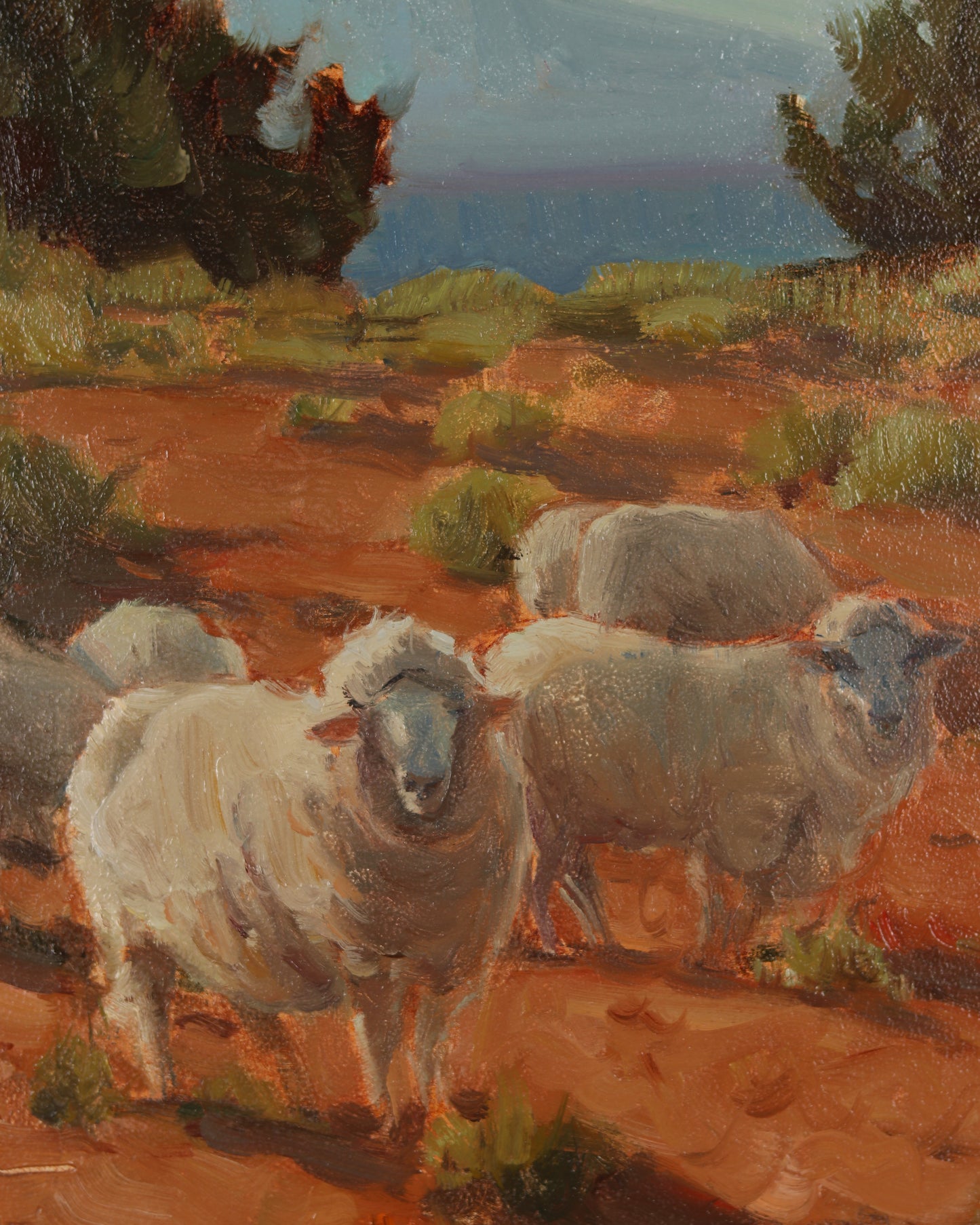 Those Are Not My Sheep