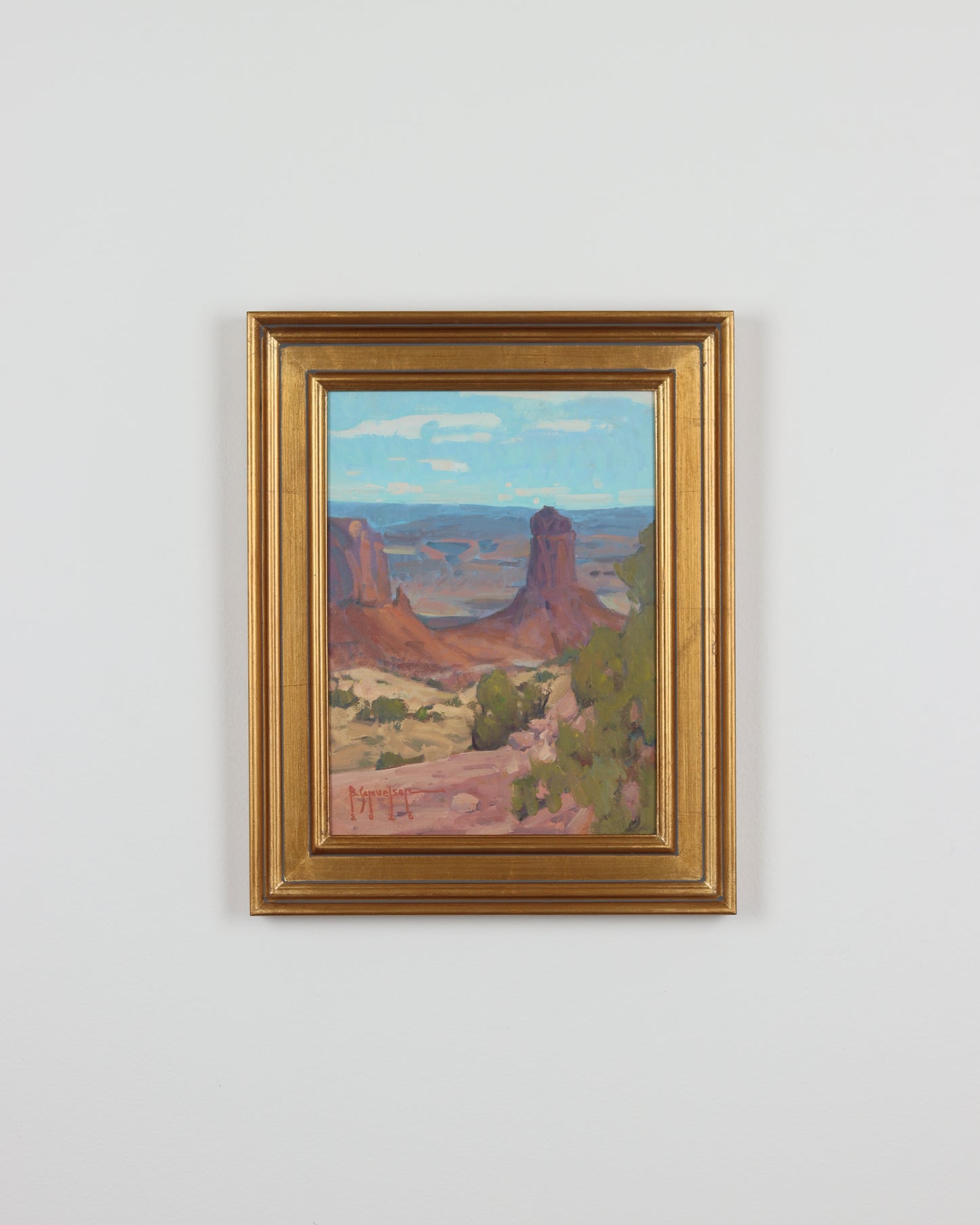 Canyonland Vistas