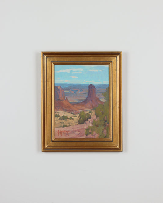 Canyonland Vistas