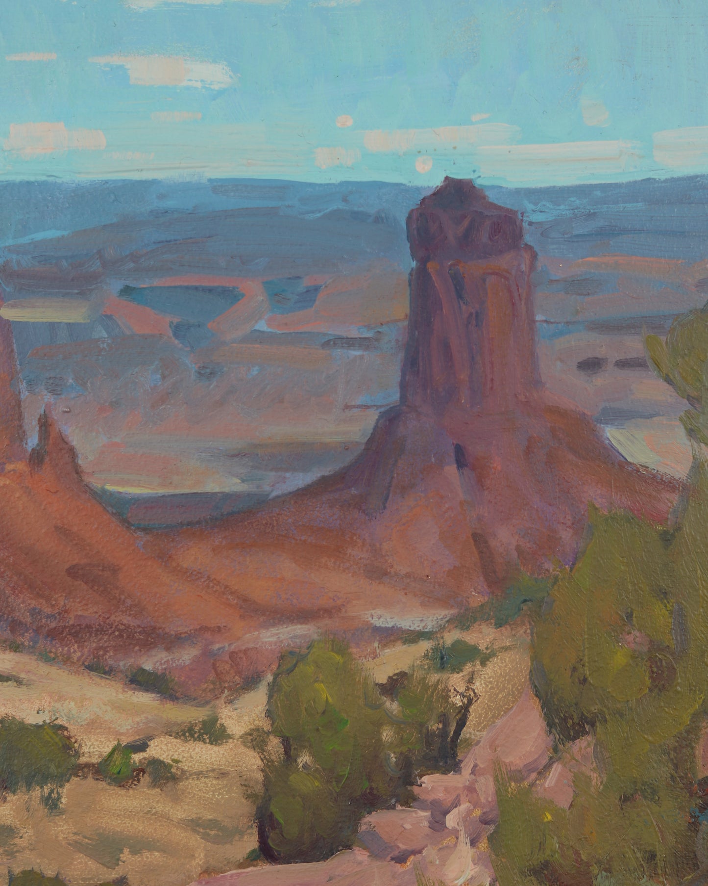 Canyonland Vistas