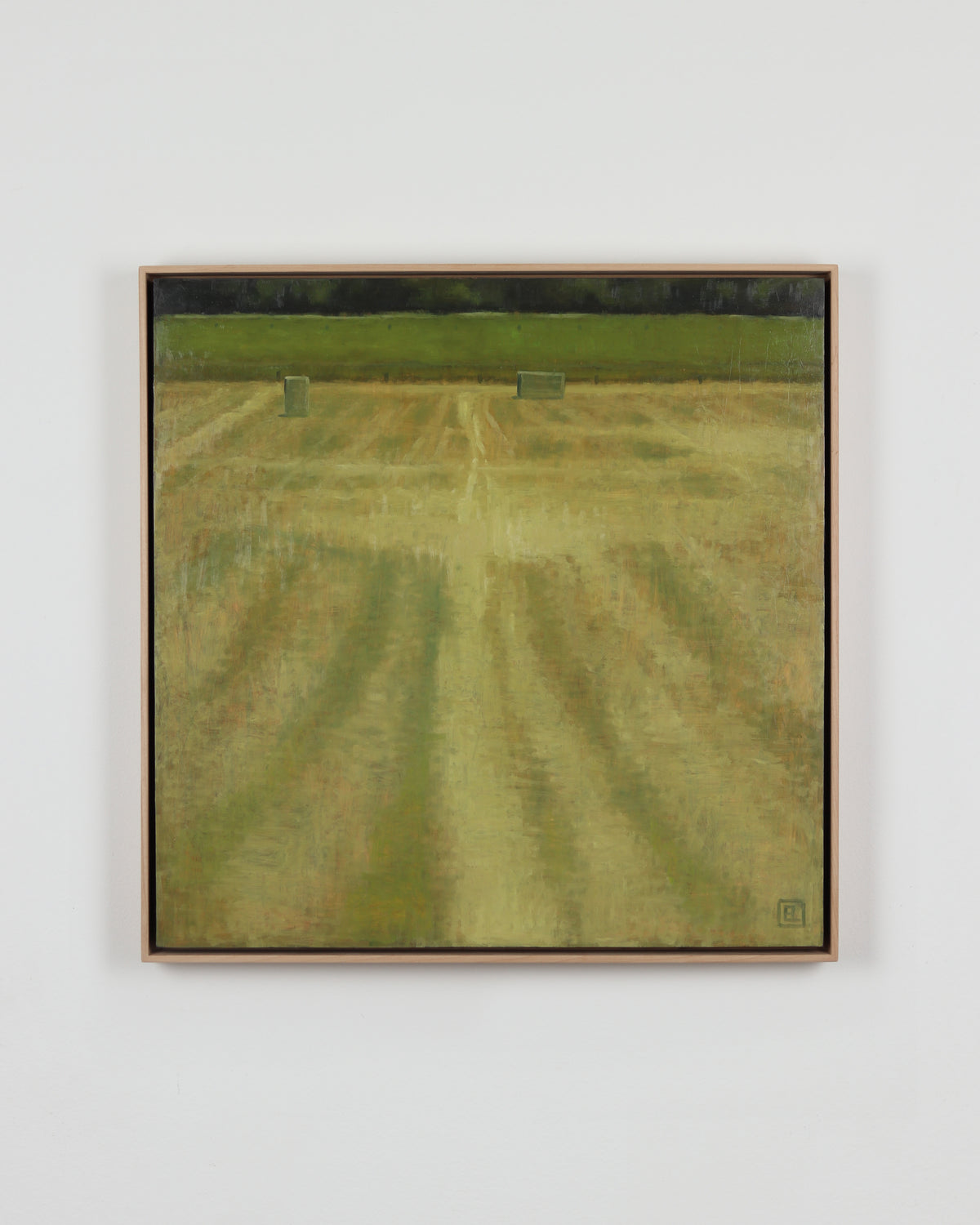 Field with Bales Near Spanish Fork River