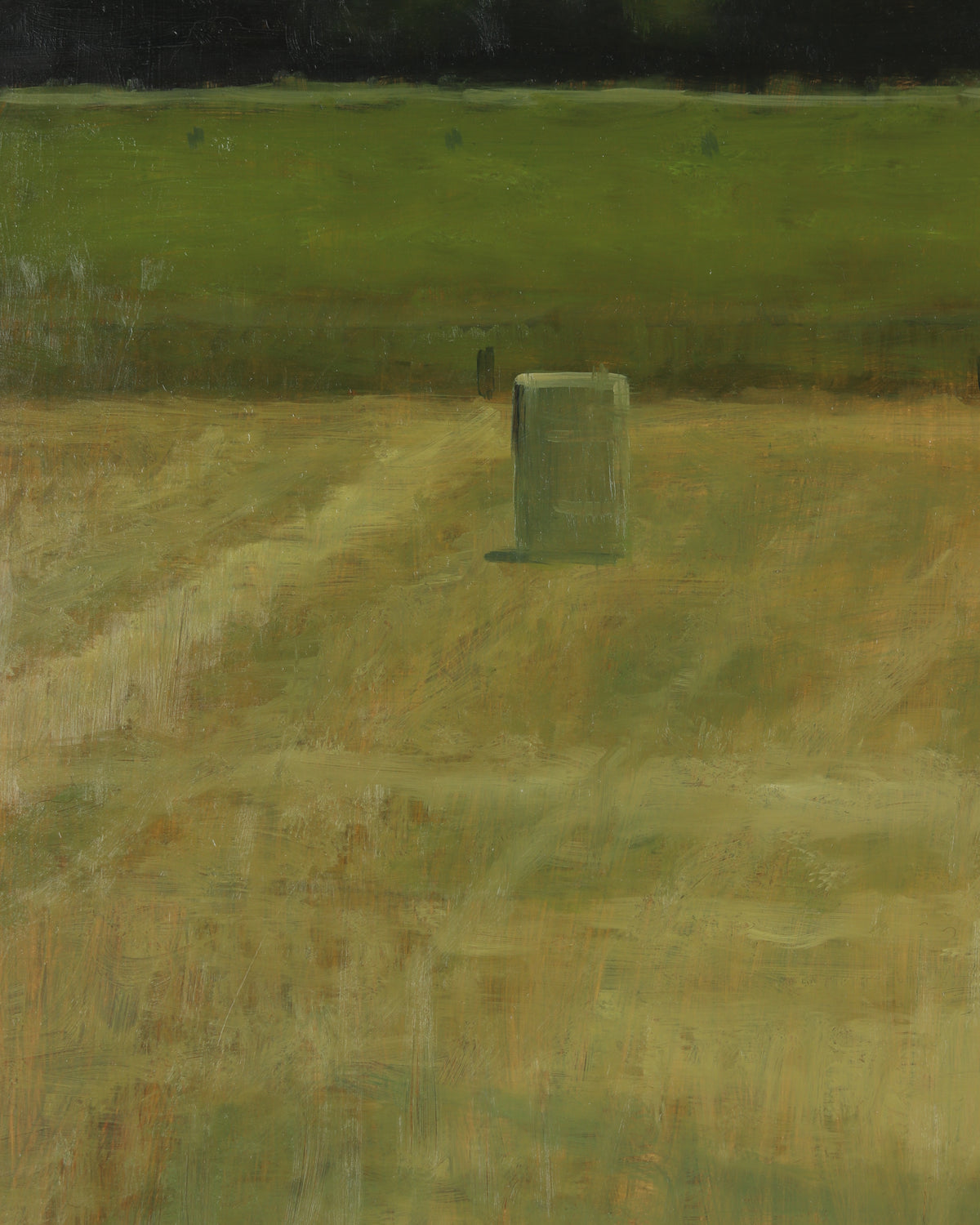 Field with Bales Near Spanish Fork River
