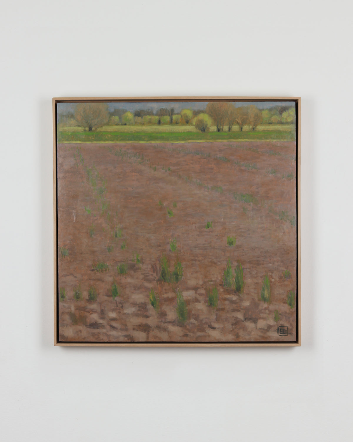Purple Fields Near Benjamin