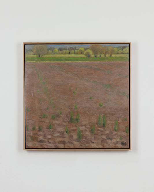 Purple Fields Near Benjamin