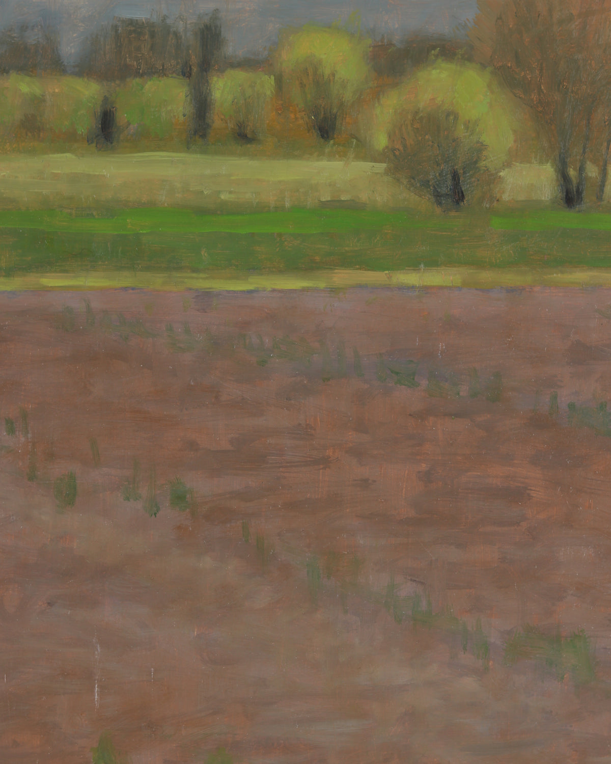 Purple Fields Near Benjamin