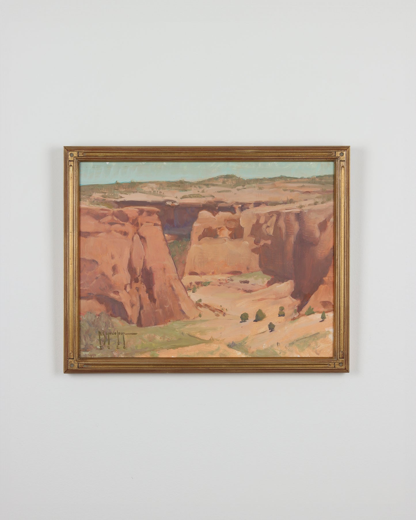 Ancient Crops in Canyon de Chelly