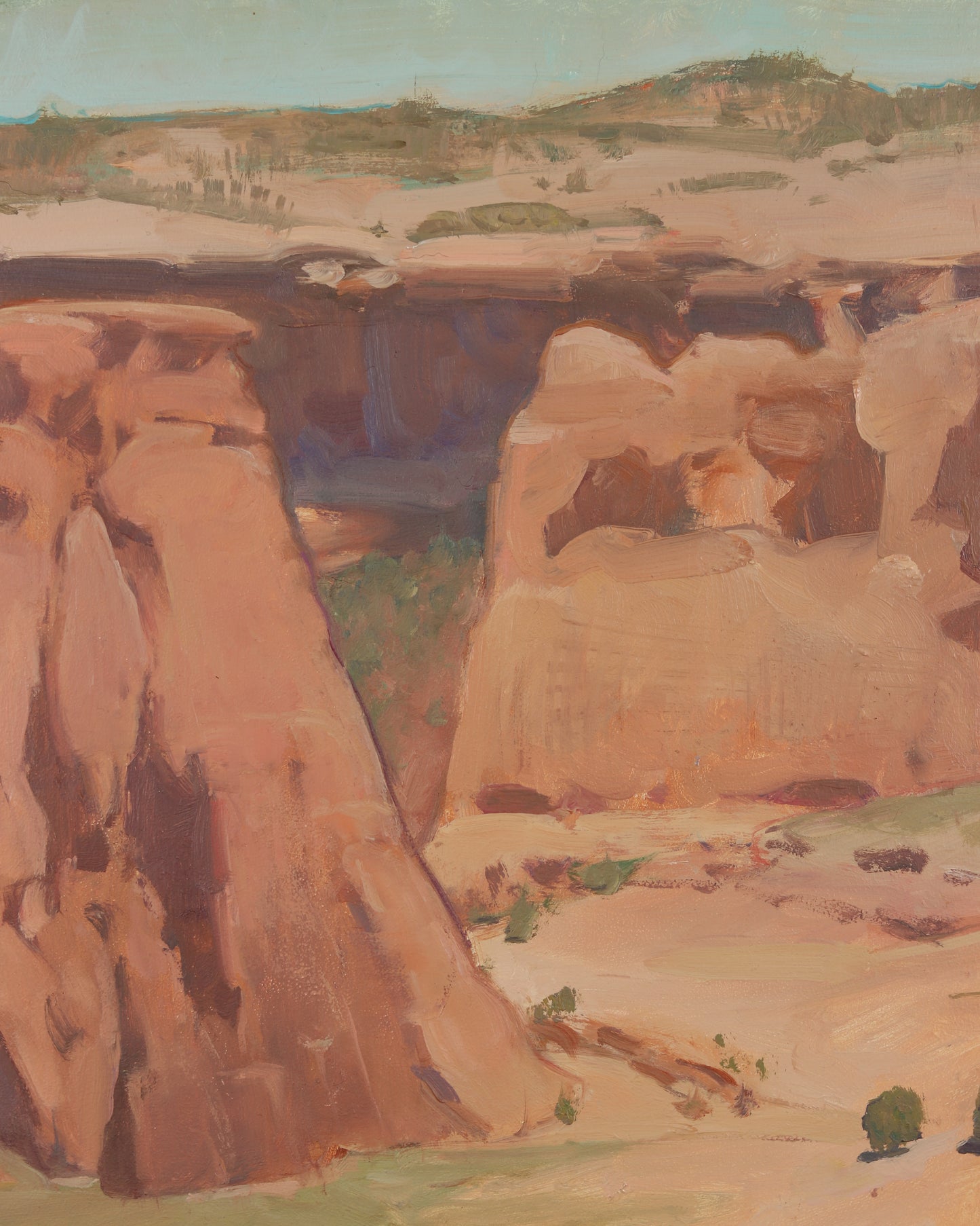 Ancient Crops in Canyon de Chelly