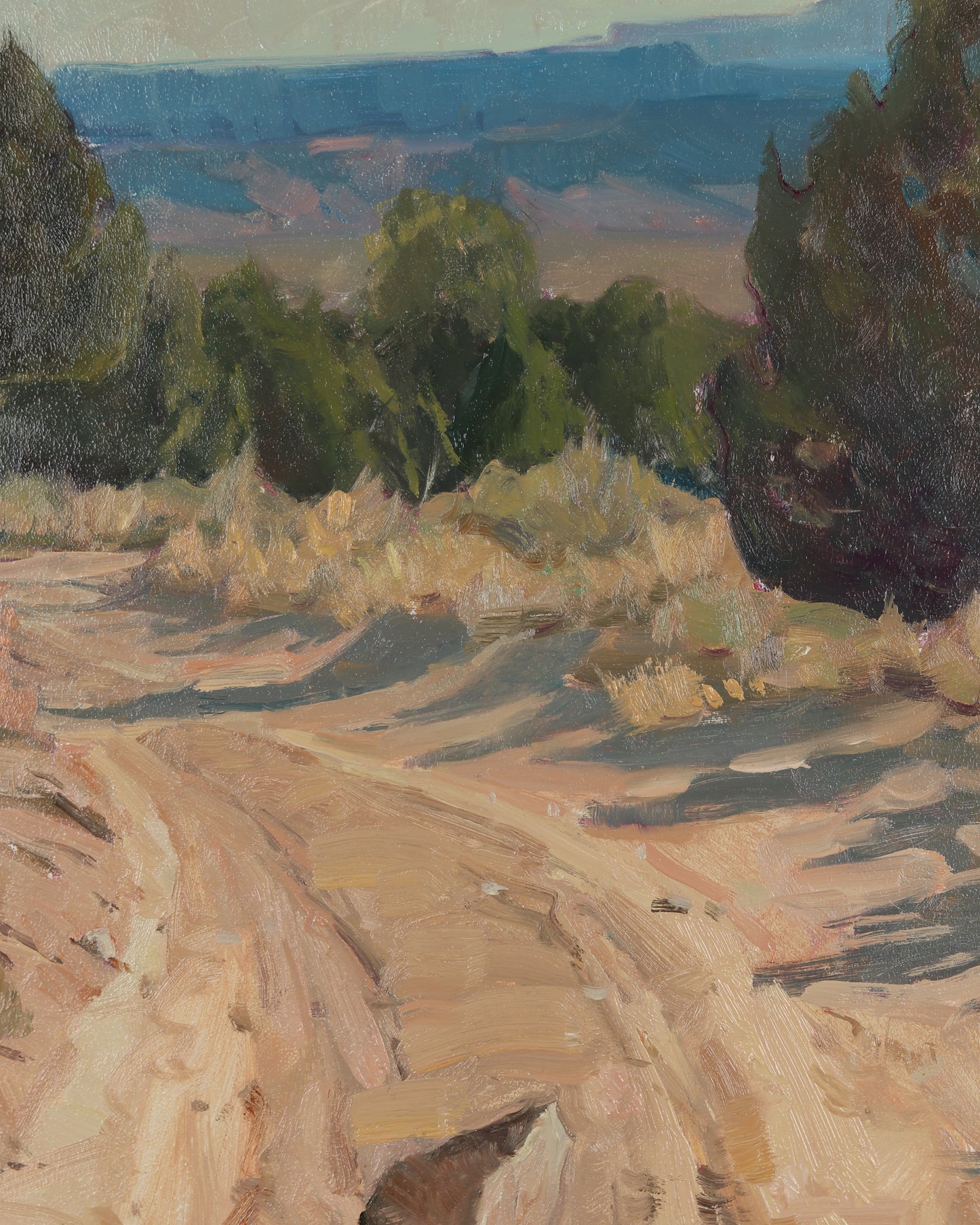 Desert Paths