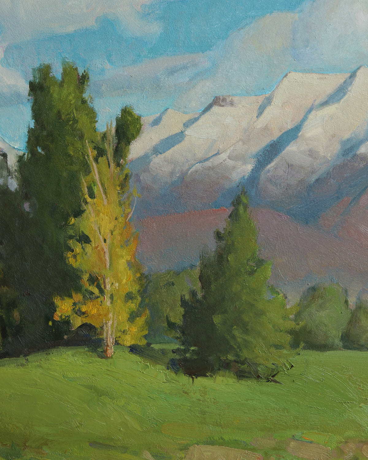 Early Spring Timpanogos