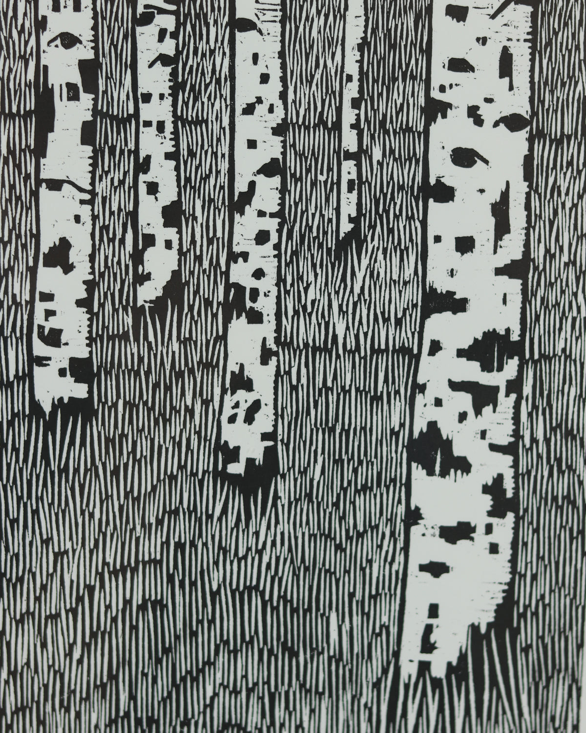 Aspens in the Grass
