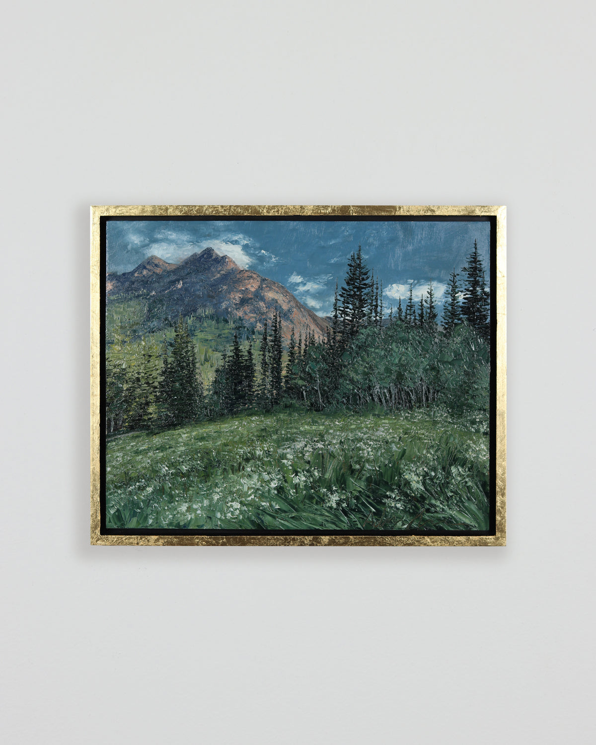Evening Light In Little Cottonwood