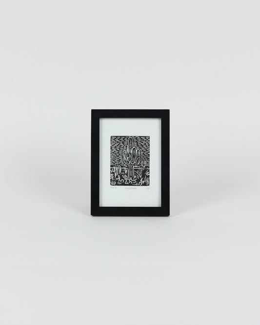 Saguaro