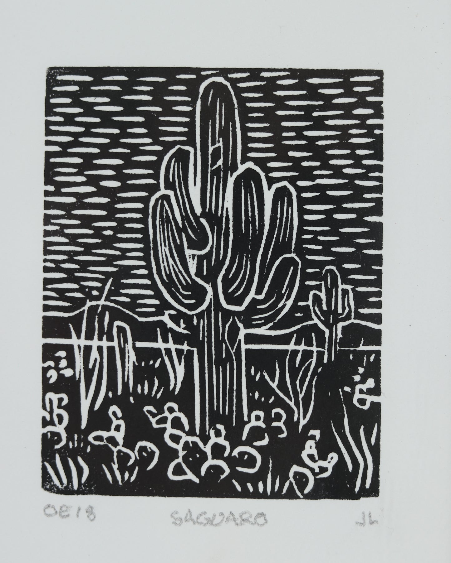 Saguaro