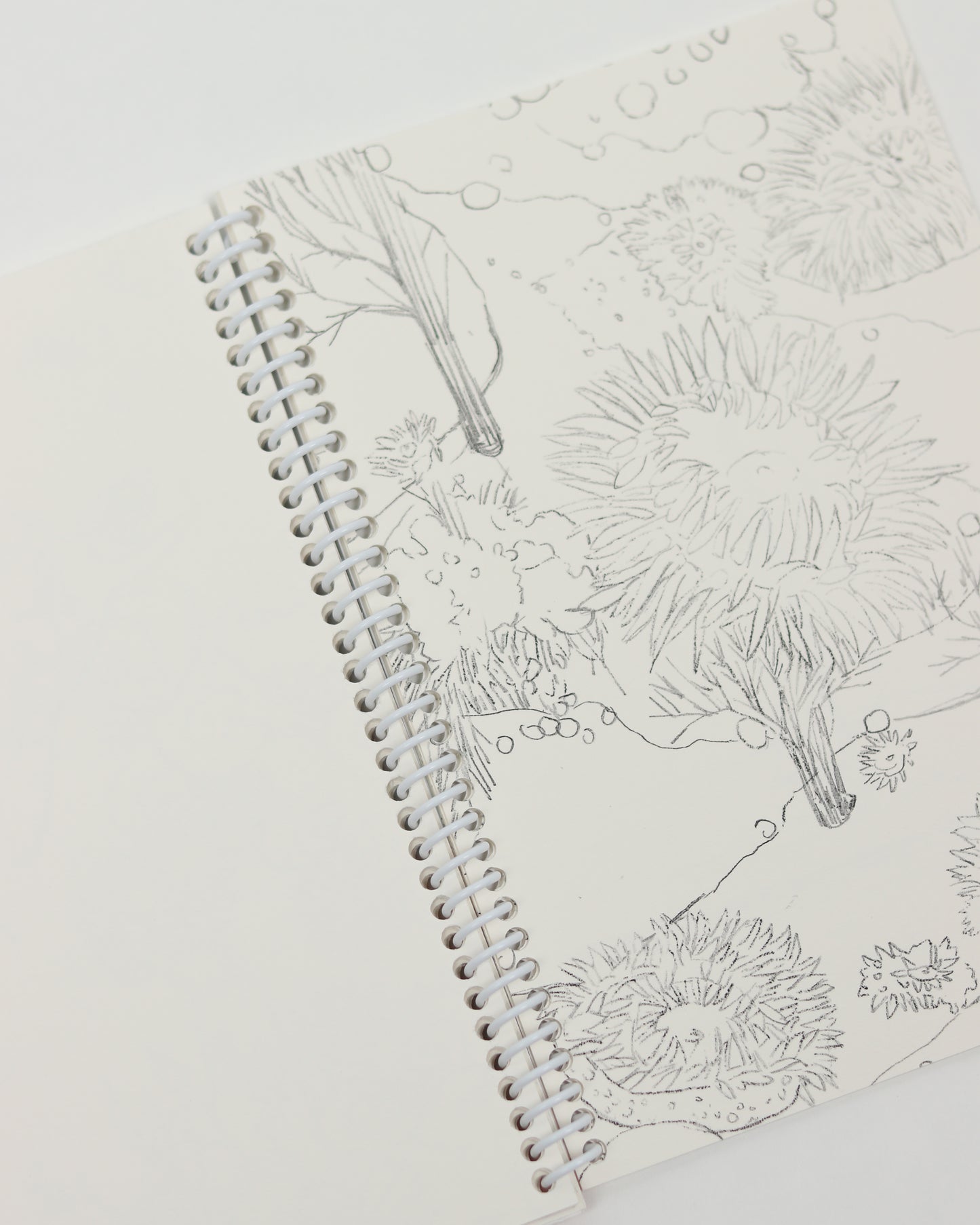 Beach Days Painting Book