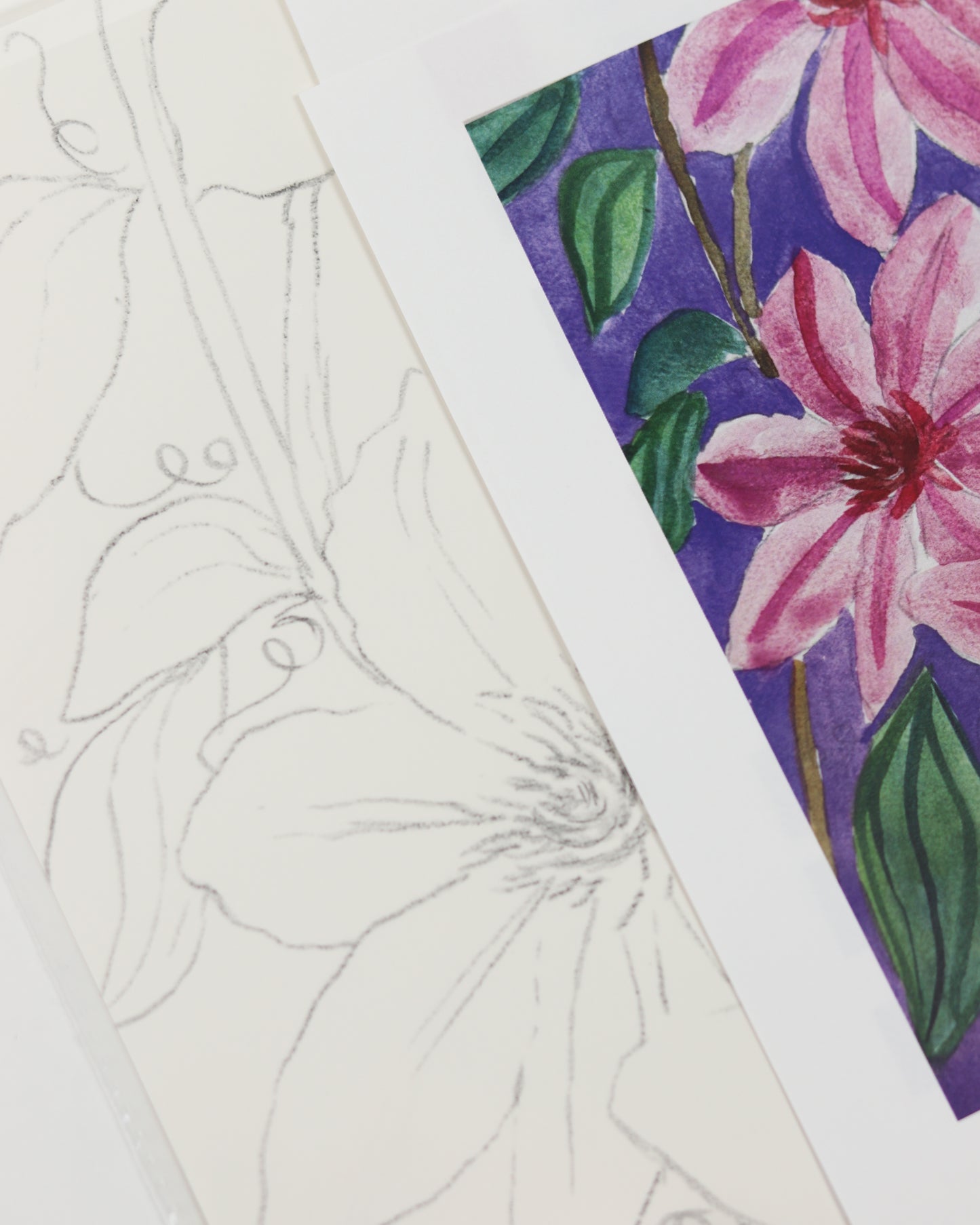Clematis Watercolor Kit