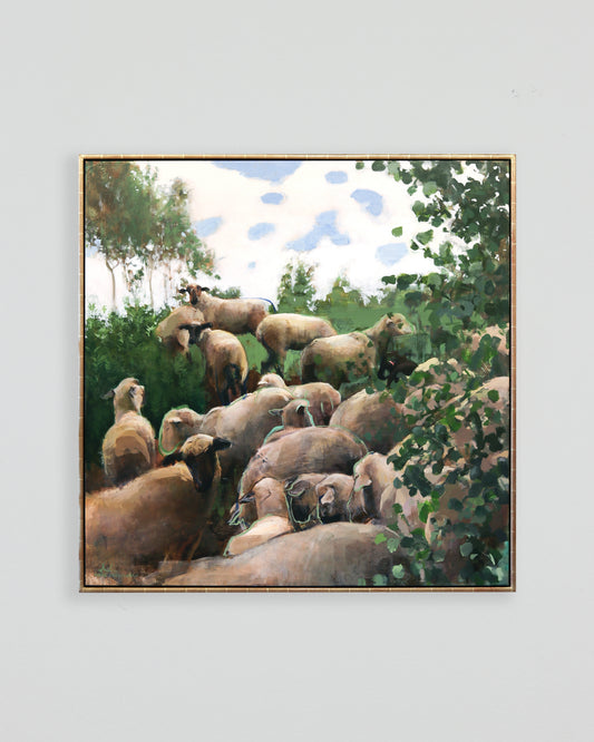 Sheep Ascending