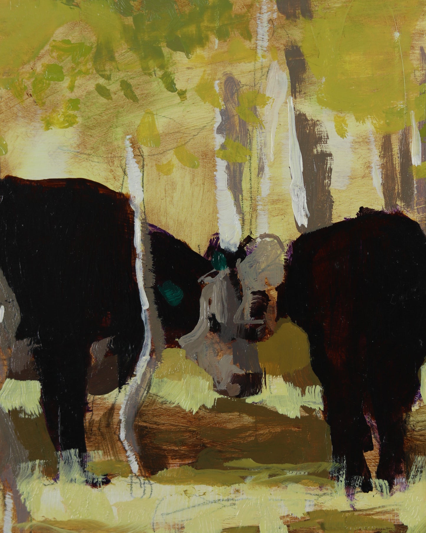 A Yellow Aspen Cow
