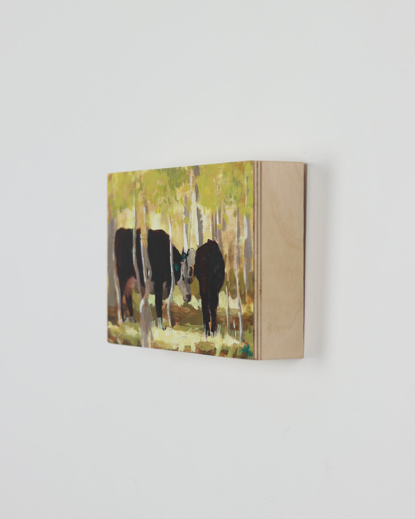 A Yellow Aspen Cow